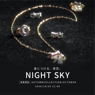 NIGHT SKY