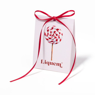 Holiday Mini Bag