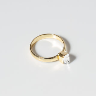 Transformation Starling (Star)