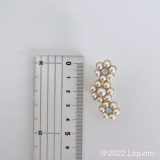 Liquem / Secret Garden clip on earrings (Powdery BL)